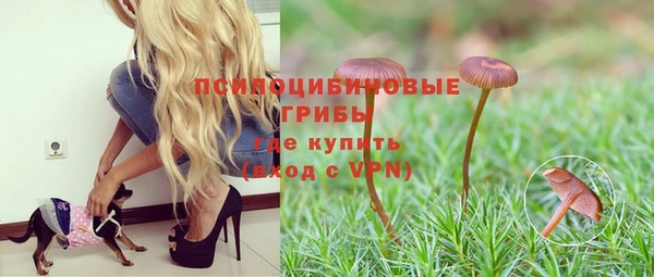 тгк Карпинск
