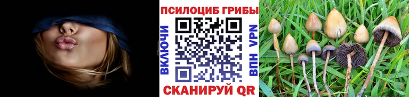 Купить закладки  Ахтубинск  Псилоцибиновые грибы Magic Shrooms 